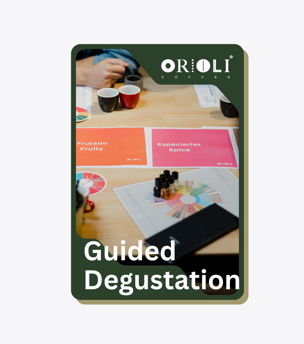 Taller - Degustação Guiada